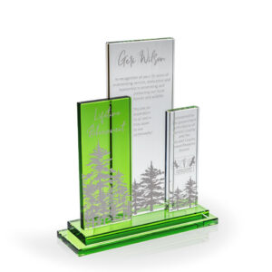 Mirador Green & Clear Award